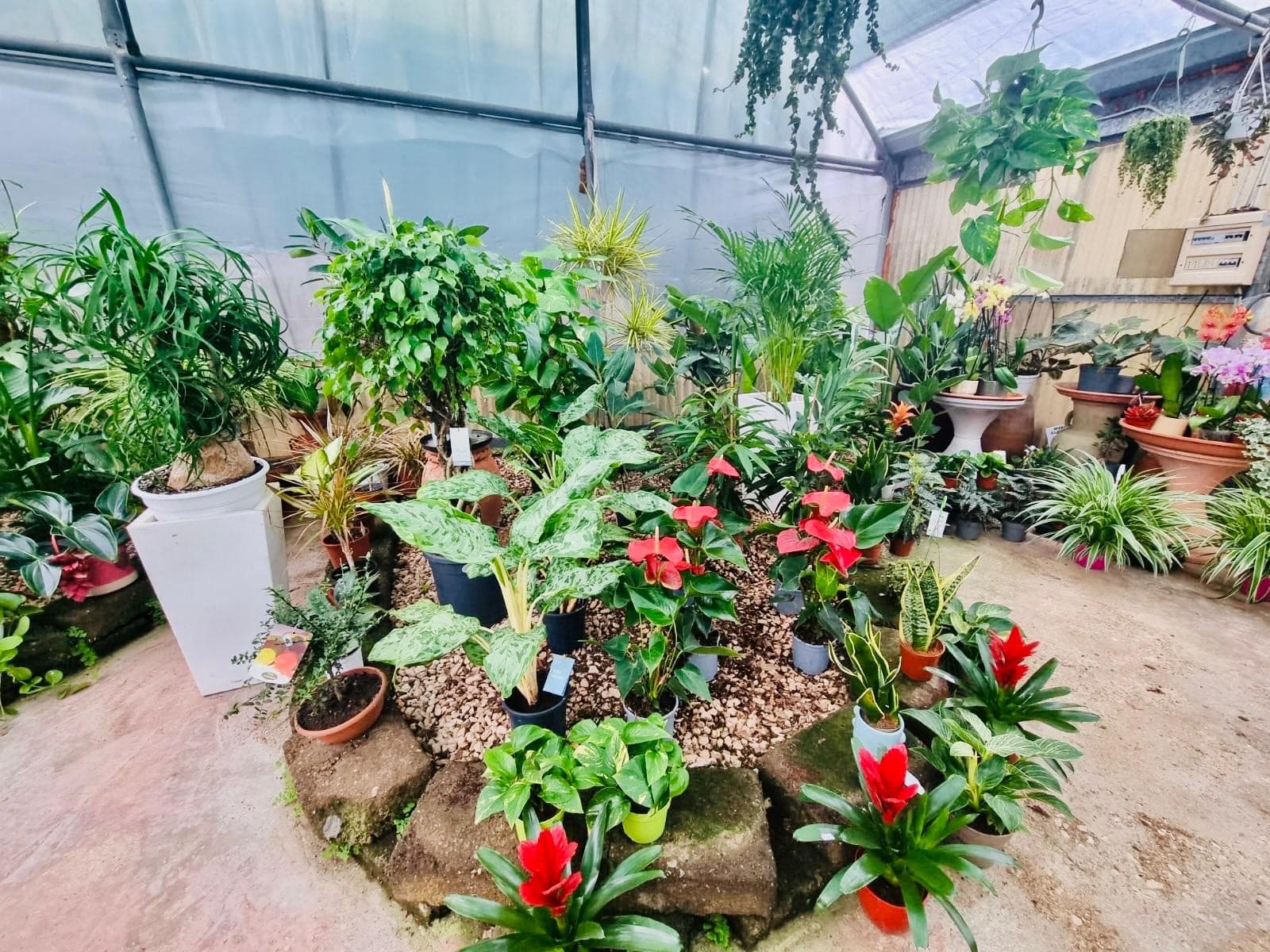 Fioriture di Stagione