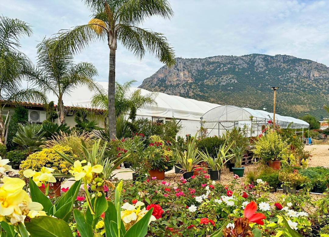 Interno del Vivaio Paola Bartoli a Terracina